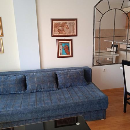 Nikolic Apartments - Ohrid City Centre Eksteriør billede